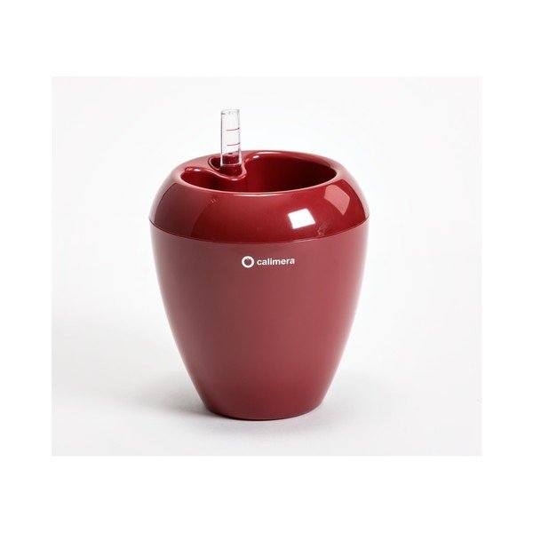 Červený samozavlažovací květináč Plastia Calimera Camay, ø 17 cm-image-2