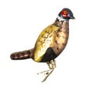 Skleněná ručně vyrobená vánoční ozdoba 18,5 cm Bird – Sass & Belle