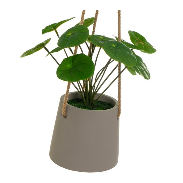 Umělá rostlina (výška 24 cm) Pilea – Casa Selección-image-2
