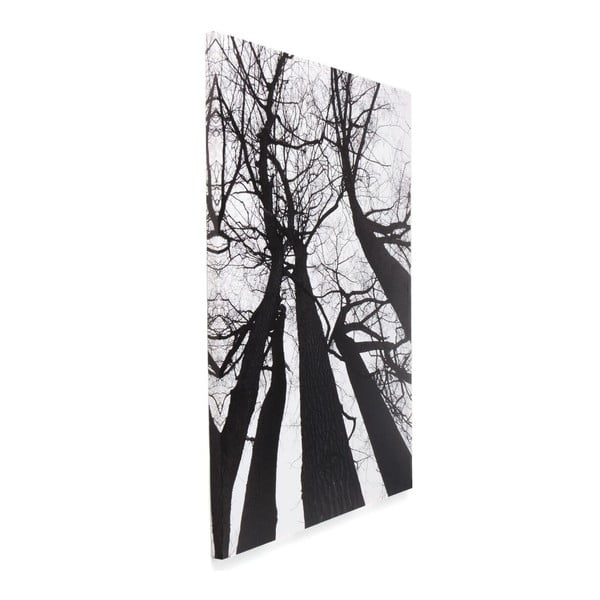 Obraz na plátně Tomasucci Winter Tree-image-1