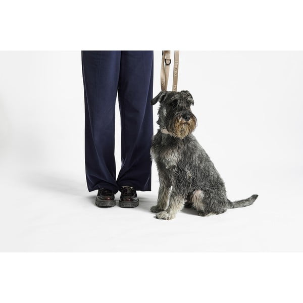 Béžový obojek velikost L/XL délka 40 cm Modena Greige L/XL – MiaCara-image-4