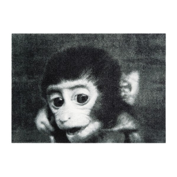 Šedá rohožka Mint Rugs StateMat Monkey, 50 x 75 cm