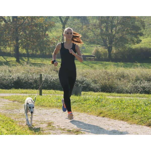 Zelené vodítko velikost S 3 Neon – Lishinu-image-4