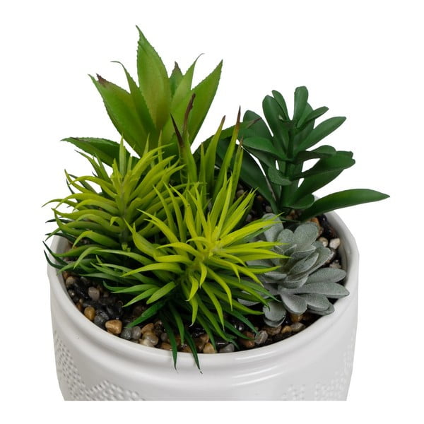 Umělé rostliny v sadě 2 ks (výška 19 cm) Cactus – Casa Selección-image-2