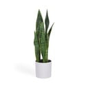 Umělá rostlina (výška 55 cm) Sansevieria – Kave Home