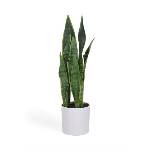 Umělá rostlina (výška 55 cm) Sansevieria – Kave Home