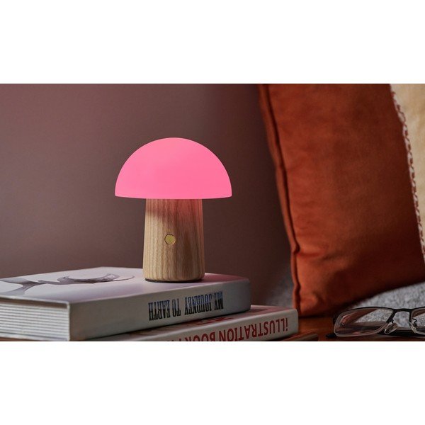 Stmívatelná stolní lampa v přírodní barvě se skleněným stínidlem (výška 13 cm) Alice – Gingko-image-4