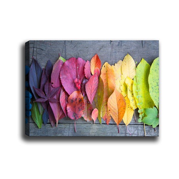 Obraz Tablo Center Gradient Leaves, 70 x 50 cm