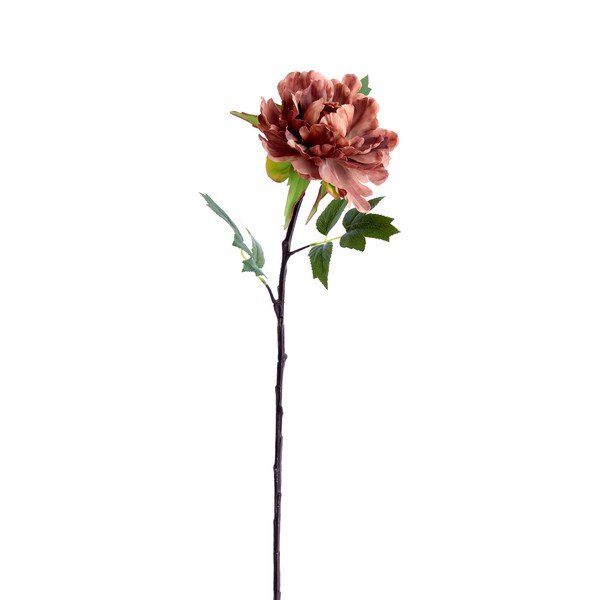 Umělá květina (výška 65 cm) Peonia – Light & Living