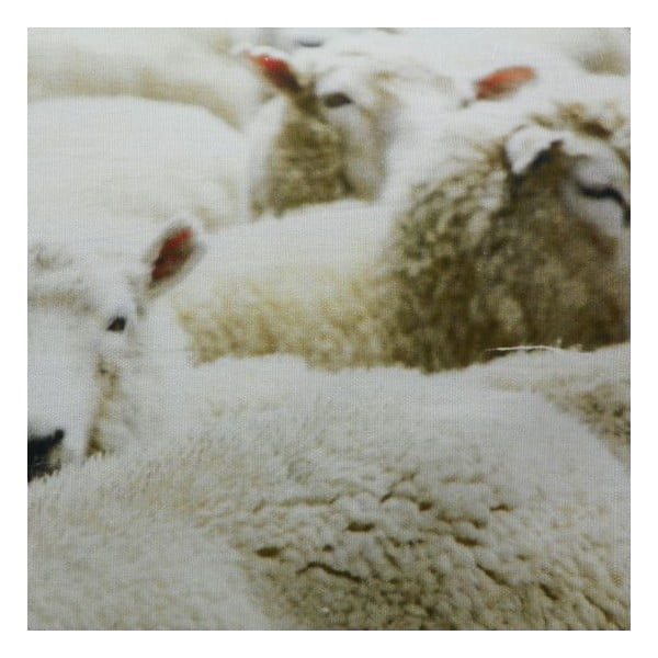 Polštář Sheep 60x40 cm-image-1