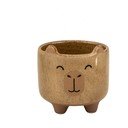 Kameninový ručně malovaný obal na květináč ø 7,5 cm Mojave Capybara – Sass & Belle
