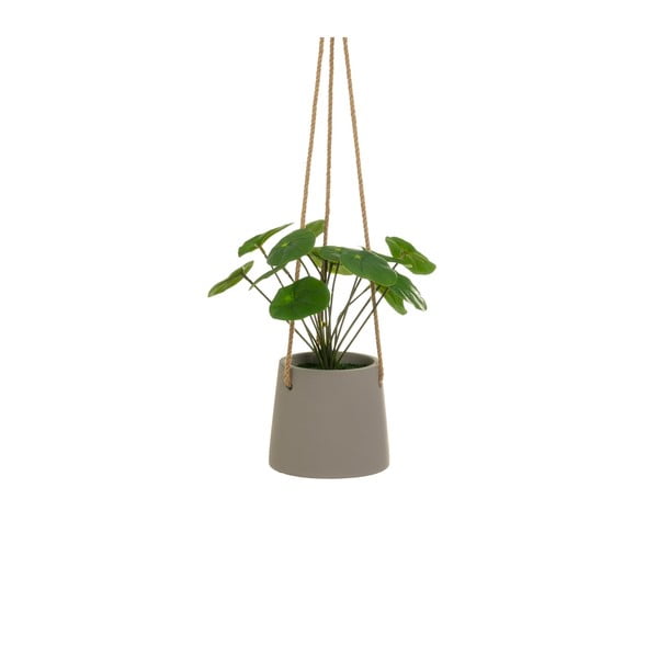 Umělá rostlina (výška 24 cm) Pilea – Casa Selección-image-1