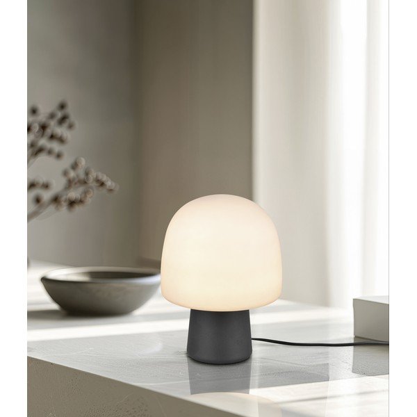 Černo-bílá stolní lampa se skleněným stínidlem (výška 27 cm) Steen – Trio-image-1