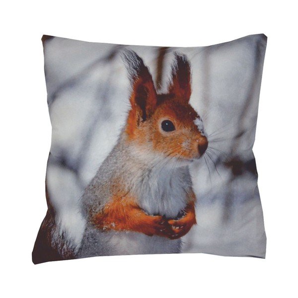 Polštář Animals Squirrel, 42x42 cm