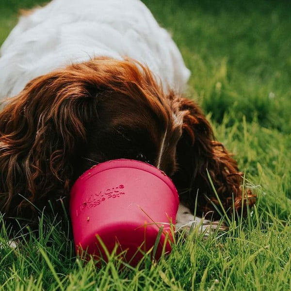 Lízací miska Yoggie Pot Pink – LickiMat-image-1