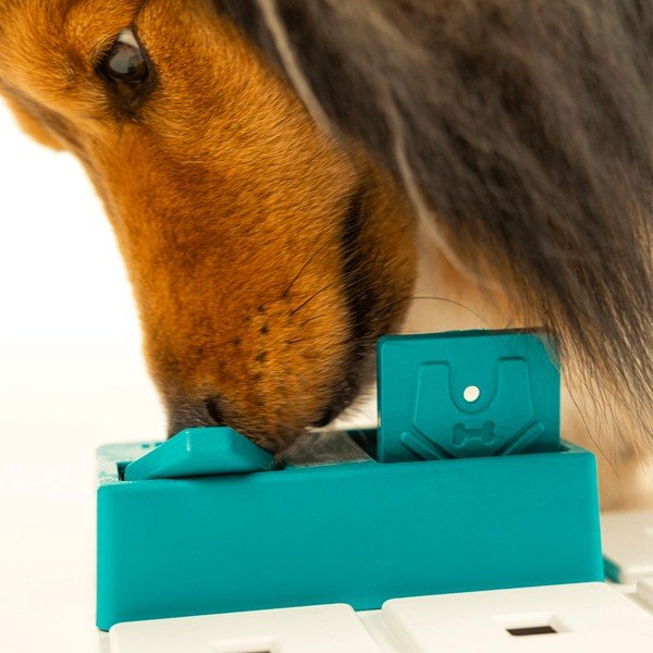 Hlavolam pro psy Nai – Pawzler-image-2