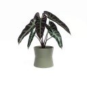 Keramický květináč ø 14 cm Diana – Artevasi