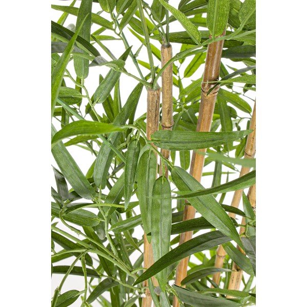 Umělý bambus (výška 155 cm) Bamboo – Bizzotto-image-1