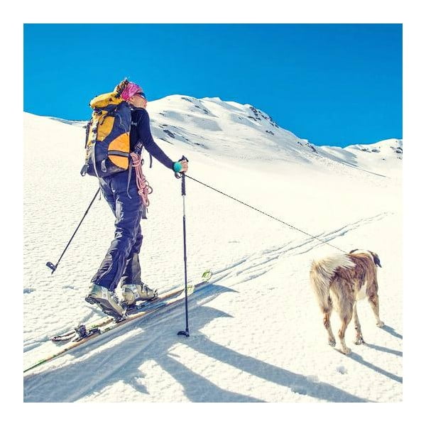 Modré vodítko velikost M 3 Bungee – Lishinu-image-3