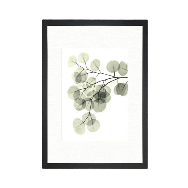 Obraz Tablo Center Leafy, 24 x 29 cm