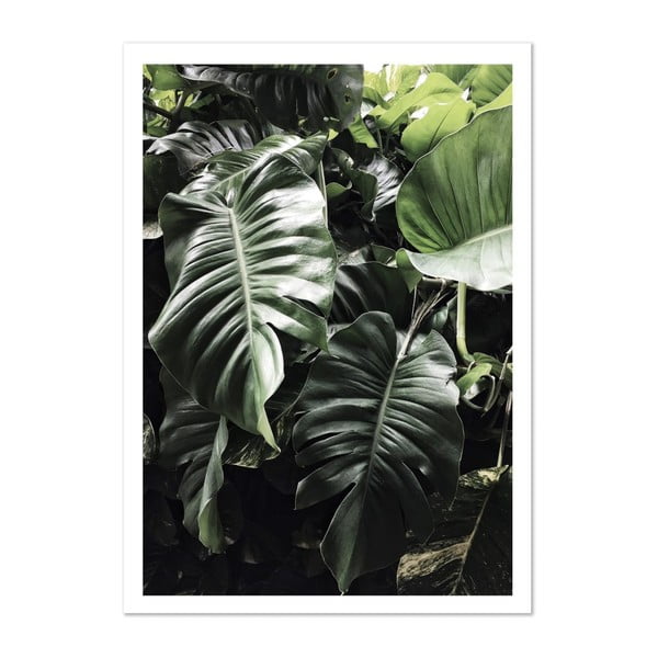 Plakát HF Living Botanic Greenery, 50 x 70 cm