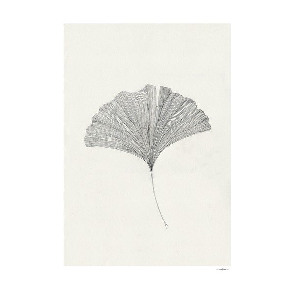 Plakát 50x70 cm Ginkgo Leaf – Ana Frois – The Poster Club