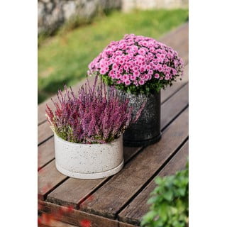 Sada 2 tmavě šedých květináčů Bonami Selection Terrazzo, ø 26 cm