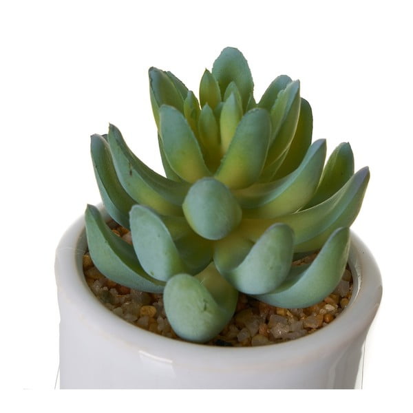 Umělé květiny v sadě 4 ks Cactus – Casa Selección-image-2