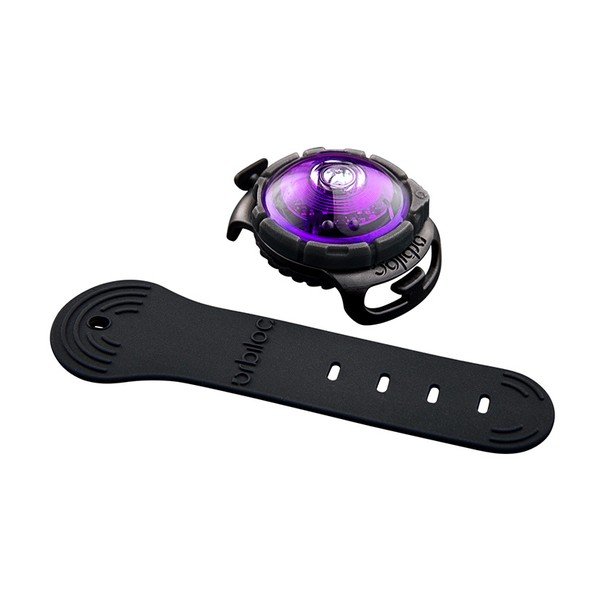 LED světlo na obojek Purple – Orbiloc-image-1
