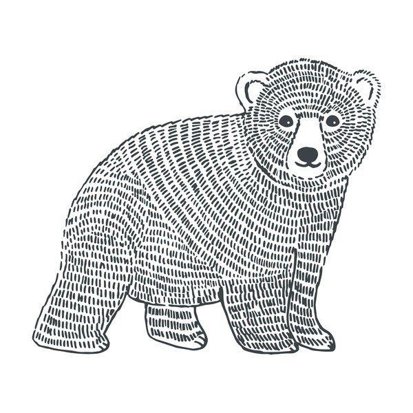 Dětská samolepka 47x40 cm Bear – Lilipinso