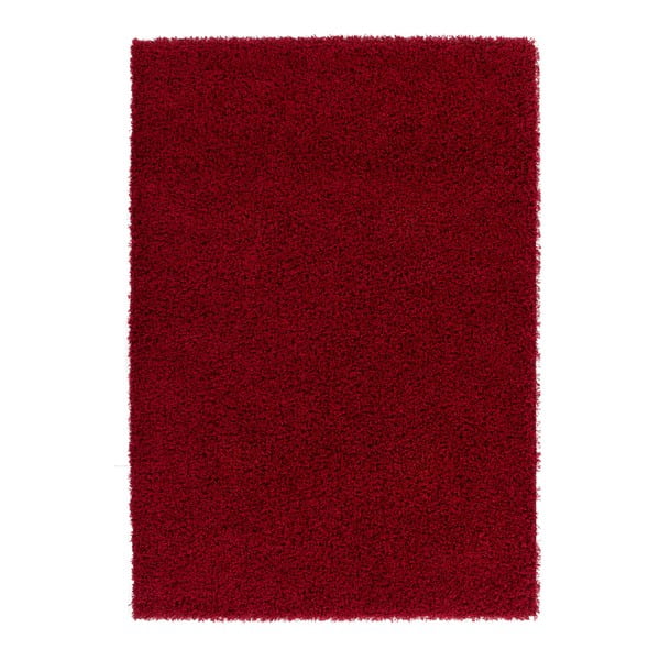 Koberec Guardian Red, 160x230 cm