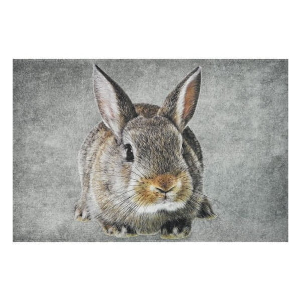 Předložka Brown Rabbit 75x50 cm