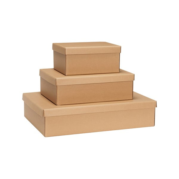 Kartonové úložné boxy s víkem v přírodní barvě v sadě 3 ks 44x31x10 cm Storeit – Hübsch