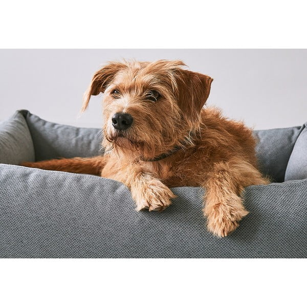 Hnědý pelíšek pro psa 93x120 cm Mare Kelp L – MiaCara-image-2