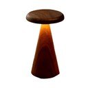 LED stolní lampa v tmavě přírodní barvě s dřevěným stínidlem (výška 21 cm) Sylva – Gingko