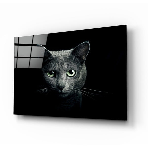 Skleněný obraz Insigne Cat, 110 x 70 cm