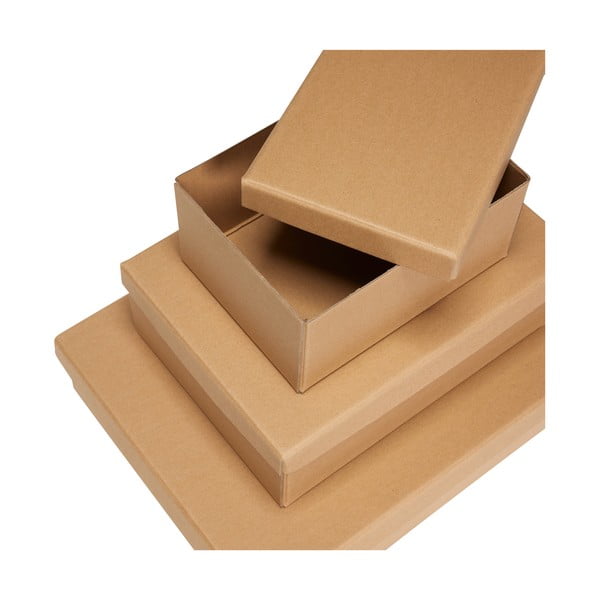 Kartonové úložné boxy s víkem v přírodní barvě v sadě 3 ks 44x31x10 cm Storeit – Hübsch-image-2