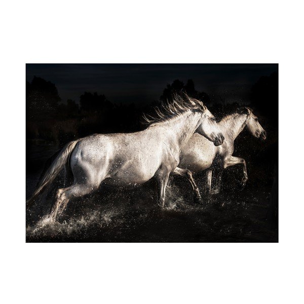 Skleněný obraz 120x80 cm Ele - Styler