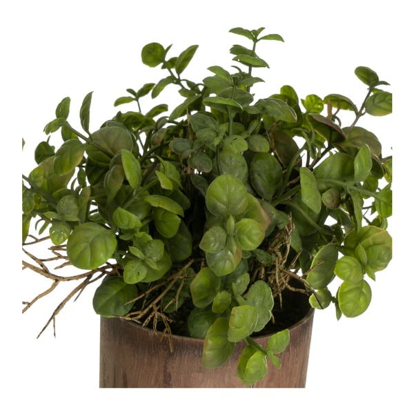 Umělé rostliny v sadě 2 ks (výška 22 cm) – Casa Selección-image-1