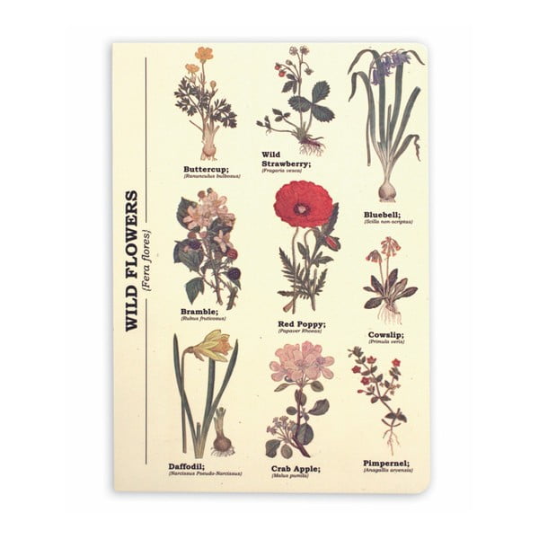 Zápisník Gift Republic Wild Flowers, vel. A5