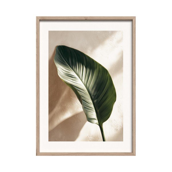 Tištěný obraz s rámem 50x70 cm Strelizia Leaf – Styler