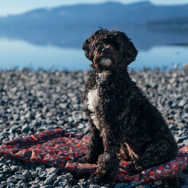 Hnědý cestovní pelíšek pro psa 45x60 cm Outdoor Chill Pad Mocha S – P.L.A.Y.-image-4