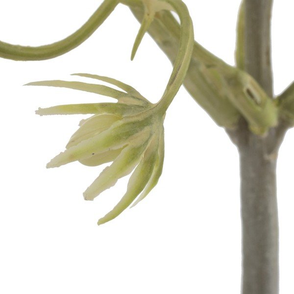 Umělá větvička (výška 55 cm) – Ixia-image-2