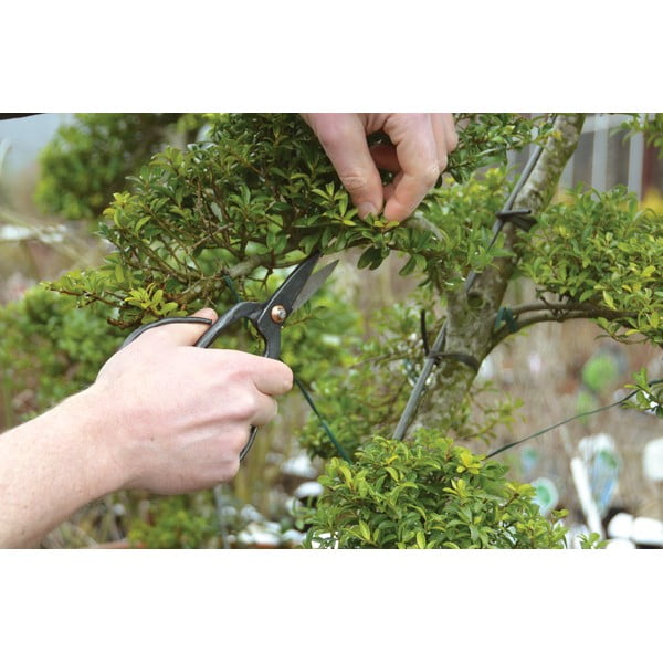 Ocelové nůžky na prostříhání bonsají Esschert Design Garden-image-3