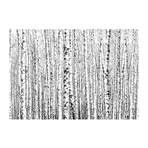 Velkoformátová tapeta Artgeist Birch Forest, 200 x 140 cm