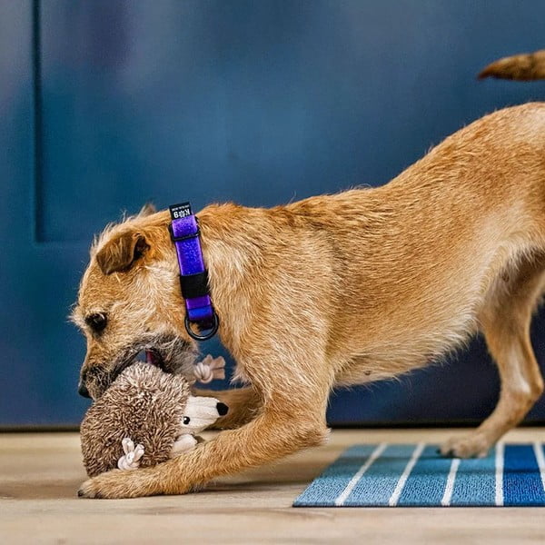 Hračka pro psa Ježek – P.L.A.Y.-image-2