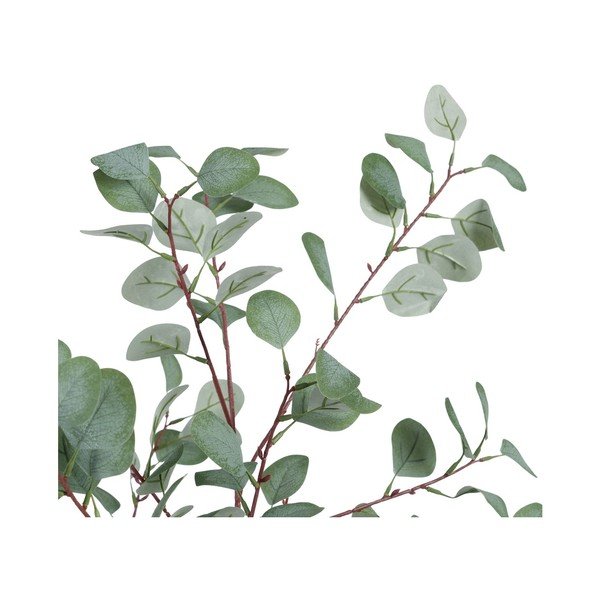 Umělý eukalyptus (výška 180 cm) Eucalyptus – Ixia-image-2