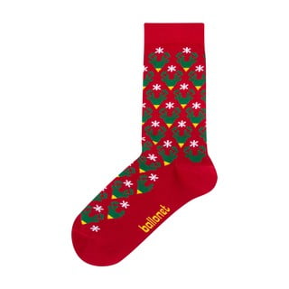 Ponožky v dárkovém balení Ballonet Socks Season's Greetings Socks Card with Caribou, velikost 36 - 40