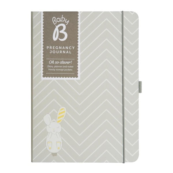 Deník pro těhotné maminky Pregnancy Journal-image-1