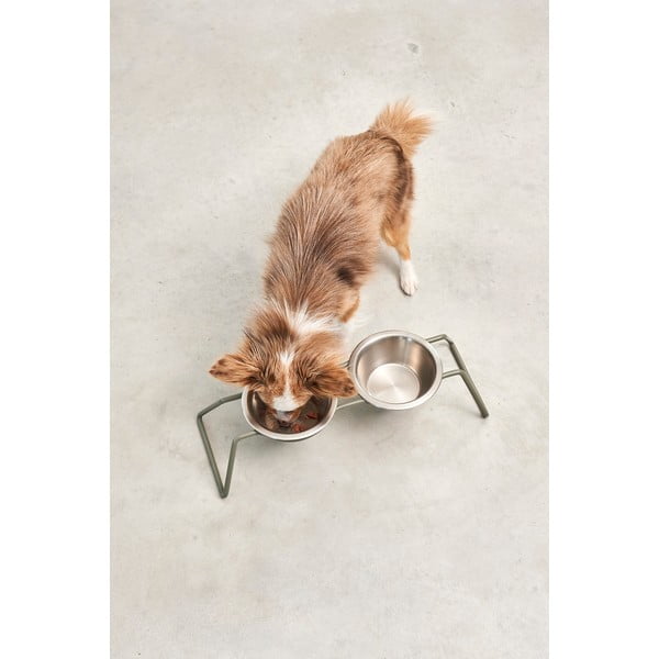 Set misek s podstavcem pro psa z nerezové oceli Cena Grollive M – MiaCara-image-2